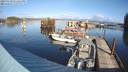 ./images/quadra/hbidock/20231119/hbidock20231119_121502M.jpg