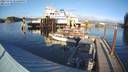 ./images/quadra/hbidock/20231119/hbidock20231119_145500M.jpg