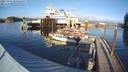 ./images/quadra/hbidock/20231119/hbidock20231119_145501M.jpg