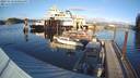 ./images/quadra/hbidock/20231119/hbidock20231119_150501M.jpg