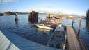 ./images/quadra/hbidock/20231119/hbidock20231119_151500M.jpg