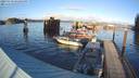./images/quadra/hbidock/20231119/hbidock20231119_151501M.jpg