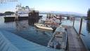 ./images/quadra/hbidock/20231119/hbidock20231119_162500M.jpg