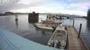 ./images/quadra/hbidock/20231120/hbidock20231120_101500M.jpg