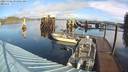 ./images/quadra/hbidock/20231122/hbidock20231122_101002M.jpg