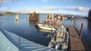 ./images/quadra/hbidock/20231122/hbidock20231122_113001M.jpg