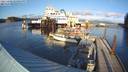 ./images/quadra/hbidock/20231122/hbidock20231122_145001M.jpg
