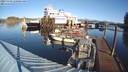 ./images/quadra/hbidock/20231123/hbidock20231123_110001M.jpg