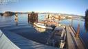 ./images/quadra/hbidock/20231123/hbidock20231123_145501M.jpg