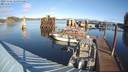 ./images/quadra/hbidock/20231124/hbidock20231124_112000M.jpg