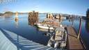 ./images/quadra/hbidock/20231124/hbidock20231124_112501M.jpg
