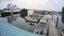 ./images/quadra/hbidock/20231126/hbidock20231126_143501M.jpg