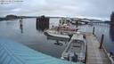 ./images/quadra/hbidock/20231128/hbidock20231128_075001M.jpg