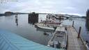 ./images/quadra/hbidock/20231128/hbidock20231128_080000M.jpg