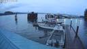 ./images/quadra/hbidock/20231130/hbidock20231130_074501M.jpg