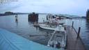 ./images/quadra/hbidock/20231130/hbidock20231130_075501M.jpg