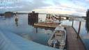 ./images/quadra/hbidock/20231205/hbidock20231205_153001M.jpg