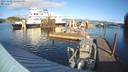 ./images/quadra/hbidock/20231208/hbidock20231208_123001M.jpg
