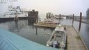 ./images/quadra/hbidock/20240227/hbidock20240227_122500M.jpg