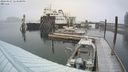 ./images/quadra/hbidock/20240227/hbidock20240227_143500M.jpg