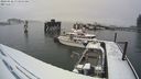 ./images/quadra/hbidock/20240228/hbidock20240228_080000M.jpg