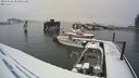 ./images/quadra/hbidock/20240228/hbidock20240228_080001M.jpg