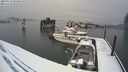 ./images/quadra/hbidock/20240228/hbidock20240228_093001M.jpg