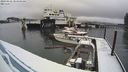 ./images/quadra/hbidock/20240228/hbidock20240228_103500M.jpg