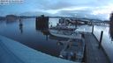 ./images/quadra/hbidock/20240229/hbidock20240229_064001M.jpg