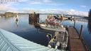 ./images/quadra/hbidock/20240229/hbidock20240229_093001M.jpg