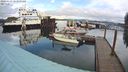 ./images/quadra/hbidock/20240229/hbidock20240229_104000M.jpg