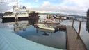 ./images/quadra/hbidock/20240229/hbidock20240229_104002M.jpg