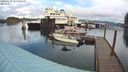 ./images/quadra/hbidock/20240229/hbidock20240229_104501M.jpg
