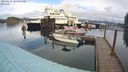 ./images/quadra/hbidock/20240229/hbidock20240229_105501M.jpg