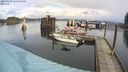 ./images/quadra/hbidock/20240229/hbidock20240229_115002M.jpg