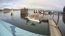./images/quadra/hbidock/20240229/hbidock20240229_120001M.jpg