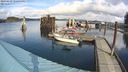 ./images/quadra/hbidock/20240229/hbidock20240229_122500M.jpg