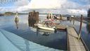 ./images/quadra/hbidock/20240229/hbidock20240229_123501M.jpg