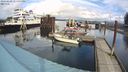 ./images/quadra/hbidock/20240229/hbidock20240229_124500M.jpg