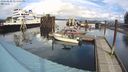 ./images/quadra/hbidock/20240229/hbidock20240229_124501M.jpg