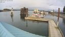 ./images/quadra/hbidock/20240229/hbidock20240229_141001M.jpg