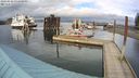 ./images/quadra/hbidock/20240229/hbidock20240229_151001M.jpg