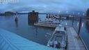 ./images/quadra/hbidock/20240229/hbidock20240229_182000M.jpg
