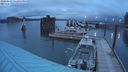 ./images/quadra/hbidock/20240229/hbidock20240229_182001M.jpg