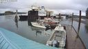 ./images/quadra/hbidock/20240301/hbidock20240301_170001M.jpg