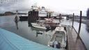 ./images/quadra/hbidock/20240301/hbidock20240301_170500M.jpg