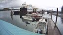 ./images/quadra/hbidock/20240301/hbidock20240301_170502M.jpg