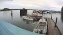 ./images/quadra/hbidock/20240302/hbidock20240302_081500M.jpg