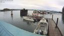 ./images/quadra/hbidock/20240302/hbidock20240302_081501M.jpg