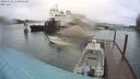 ./images/quadra/hbidock/20240302/hbidock20240302_110501M.jpg